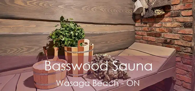  Basswood Sauna Wasaga Beach - ON
