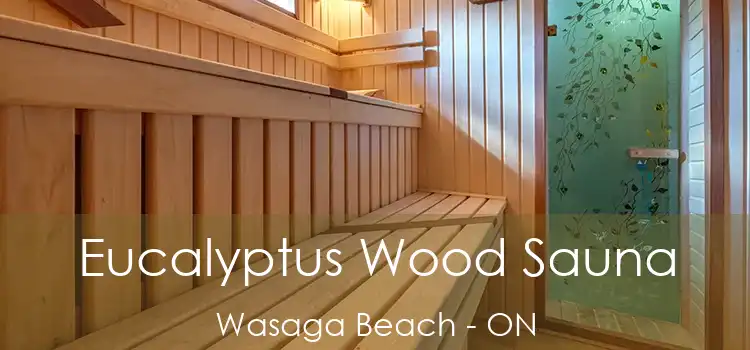  Eucalyptus Wood Sauna Wasaga Beach - ON